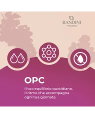 OPC Estratto di Semi d'Uva - 365 Capsule